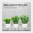 thumbnail image 4 of unbranded 3Ud Adornos De Plantas Artificiales Para Escritorio Con Bonsái Falso Y Detalles Realistas, 4 of 6