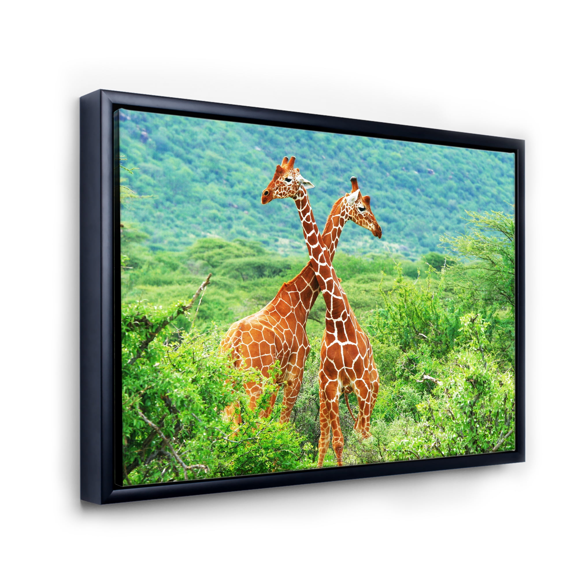 Two Giraffes Fighting In Lush Green Wild 20 in x 12 in Framed Painting Canvas Art Print, by Designart