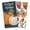 Grateful Pumpkin, variant on RITZ Seasonal Towel Set, 100% Cotton, Machine Washable, 3-Pack, Autumn Cat