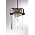 thumbnail image 6 of Nuvo Lighting Antebellum 1-Light Mini Pendant Fixture Black and Aged Gold Finish with Clear Glass - N/A, 6 of 9