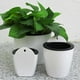 thumbnail image 1 of Macetero de riego automático colgante de plástico blanco montado en la pared, maceta de pared con contenedor de plantas de hierbas de Cactus de flores pequeñas, Juego de 3, 1 of 5