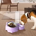 thumbnail image 5 of Double Pet Bowl Set with Automatic Water Dispenser - Stainless Steel Detachable Food & Water Bowls for Cats/Dogs - No-Spill Gravity Feeder for Puppies, Kittens & Small Pets, 5 of 5