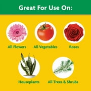 Miracle-Gro Water Soluble All Purpose Plant Food, For All Plant Types, 1.5 lbs.
