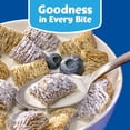 thumbnail image 5 of Kellogg's Blueberry Frosted Mini-Wheats Cereal 14.3 oz (Pack of 10), 5 of 9