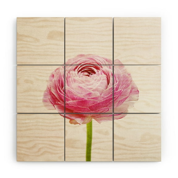 Society6 Cassia Beck Ranunculus Flower 3' x 3' Wood Wall Mural