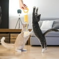 thumbnail image 4 of Juguete colgante para gatos. Juguete interactivo de interior con resorte para mantener al gato ocupado y reducir el aburrimiento, 4 of 6