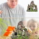 thumbnail image 5 of Adorno de Rocalla con Vista a La Montaña para Acuario con Escondite | Decoración de Resina para Pecera | Paisaje Natural Multicolor para Peces, Lagartos, Ranas y Reptiles | Decoración Segura para Acu, 5 of 6