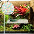 thumbnail image 3 of CTIRCHIU Lit de Repos à Bretelles Dragon Barbu en Coton Rose 1 Ensemble, 3 of 6