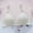 Beige, variant on Padded Bras for Women Wireless Seamless Bra Sweet Style Bralette Push Up Lightly Lined Comfort Bra Everyday Wear
