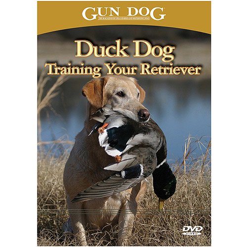Duck Dog Training Your Retriever DVD