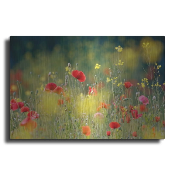 Luxe Metal Art ' Just a Perfect Day' by Roeselien Raimond, Metal Wall Art, 24"x16"
