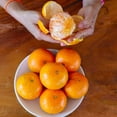 thumbnail image 2 of Brighter Blooms - Clementine Tree, 5-6 ft. - No Shipping to AK, AL, AR, AZ, CA, FL, GA, HI, LA, MS, OR, TX, 2 of 6