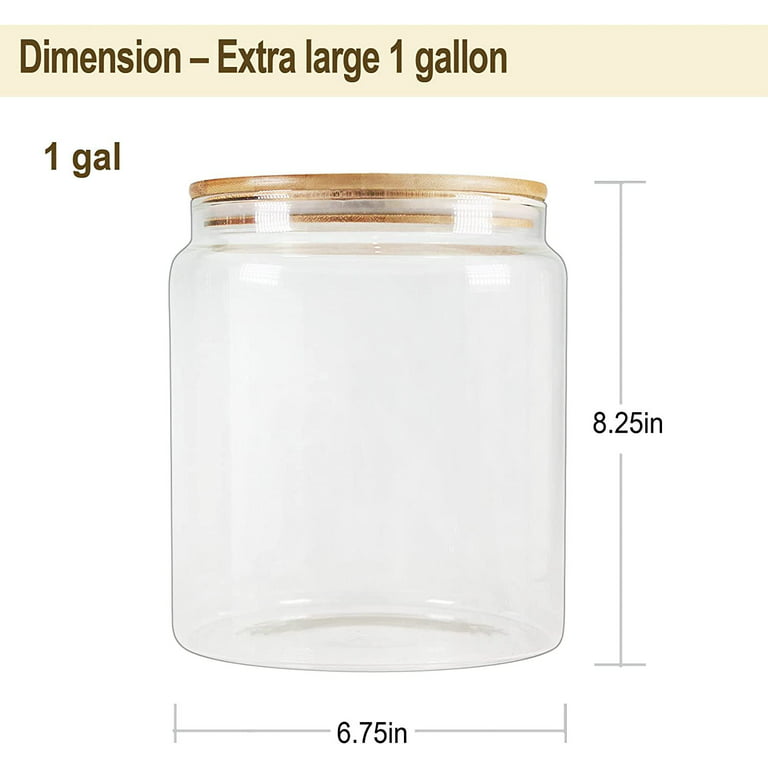 Large glass container