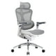 SIHOO Doro C300 Pro Ergonomic Office Chair with 6D Armrests, Dynamic Lumbar Support, Seat Depth Adjustment and Adjustable Backrest, Big and Tall Desk Chair for Home Office (Gray)