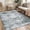 Gray tone, variant on Large Area Rug 10x13 Washable & Stain Resistant Indoor Soft Carpet Vintage Oriental Floral Design (Green)