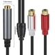 thumbnail image 3 of Metal shell gold-plated head dual-channel 6.35mm female to double lotus head RCA line female speaker audio connection cable, 3 of 4