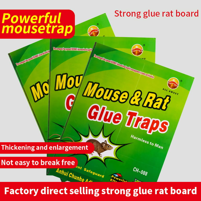 Spencer 4 Pack Large Mouse Glue Traps with Enhanced Stickiness, Rat Mouse  Traps, Snake Mouse Traps Sticky Pad Board for House Indoor Outdoor, Heavy