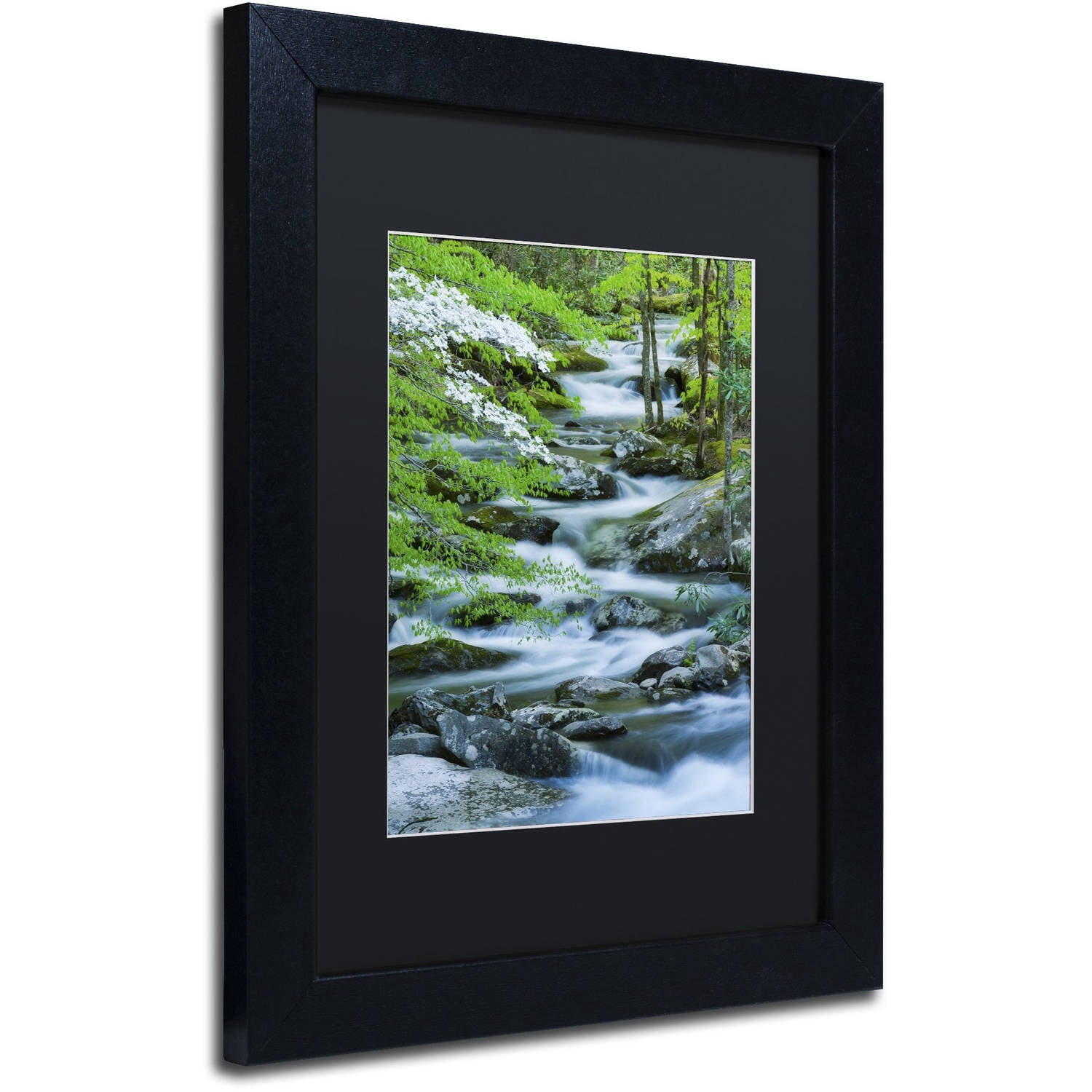 Trademark Fine Art "Flowering Dogwood" Canvas Art by Michael Blanchette Photography Black Matte, Black Frame