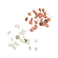 thumbnail image 1 of 48 Piezas Aretes en Blanco con Bisel Grandes Accesorios de Bricolaje para Fabricación de Accesorios de Joyería para Hogar Baoblaze Espacios en blanco de aretes redondos de Bazel, 1 of 8