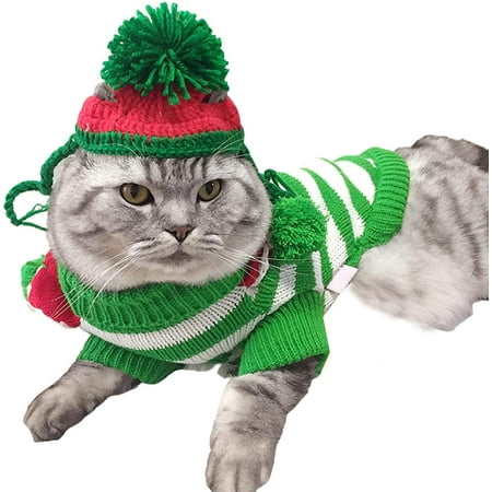 Pull poil de chat sales