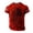Red-02, variant on 250 Anniversary USA Shirt Men's Casual 4Th of July Anniversary Crew Neck Short Sleeve Patriotic Tee 4Th of July Shirts for Men Black L