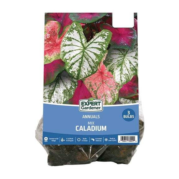 Expert Gardener Caladium Mix Bulbs Set of 3 - Multi-Color, Full Shade, Annual