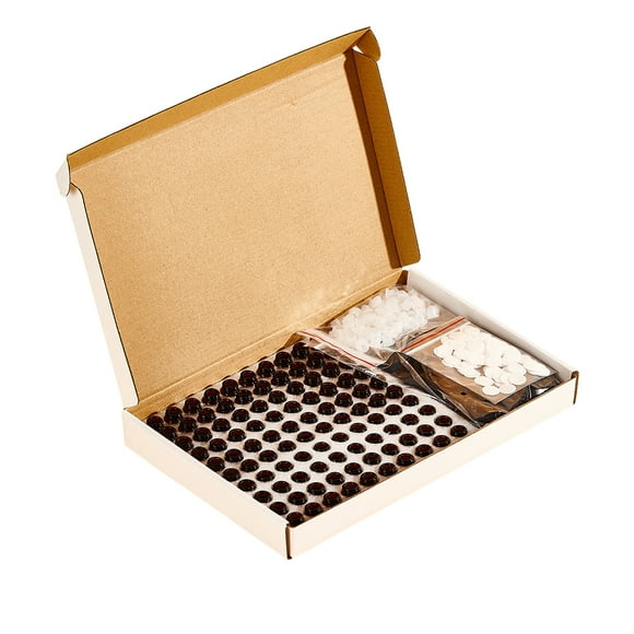 Bearachild Botella de aceite esencial de vidrio de 100 piezas de 3 ml, botellas para compartir de de viaje en interiores, herramienta de contenedor Almacenamiento y organización del hogar Bearachild HA010716-00B