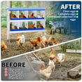 thumbnail image 5 of Chicken Nesting Boxes, 8 Compartment Metal Chicken Egg Laying Box with Lid Cover and Stand for Hens/Ducks, Easy Egg Collection Hen Roosting and Coop Use, Blue, 5 of 7