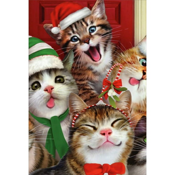 Nobleworks Cats Making Silly Faces Howard Robinson Box of 12 Humorous / Funny Christmas Cards