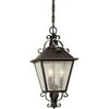 Forte Lighting 3 Light Outdoor Hanging Pendant