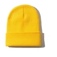 thumbnail image 1 of LinYooLi Chapeaux d'Hiver pour Femmes Bonnets Tricotés Unis Mignons Chapeau Filles Automne Bonnet Féminin Bonnets Chauds Dames Décontracté Homme, 1 of 5