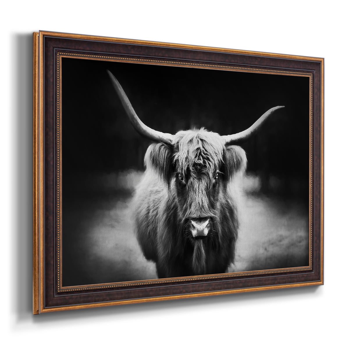 Photography Study Highland Cattle Premium Framed Canvas- Ready to Hang