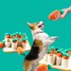 thumbnail image 4 of Juguetes de enriquecimiento para perros, juguetes de rompecabezas para cachorros, juguetes interactivos para perros pequeños, juguetes para perros chirriantes, juguetes para masticar cachorros para, 4 of 7