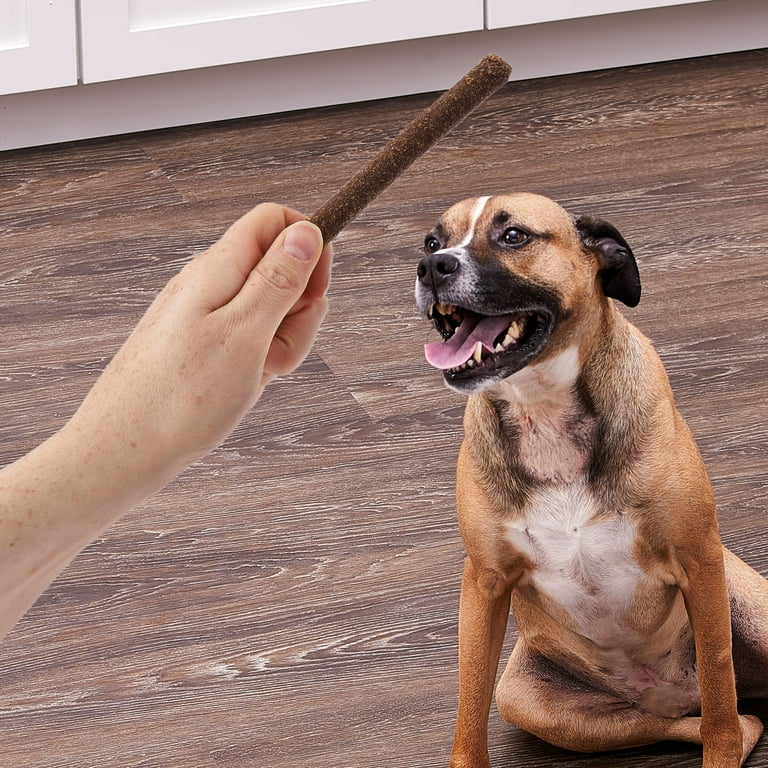 My Dog Ate Half A Stick Of Butter