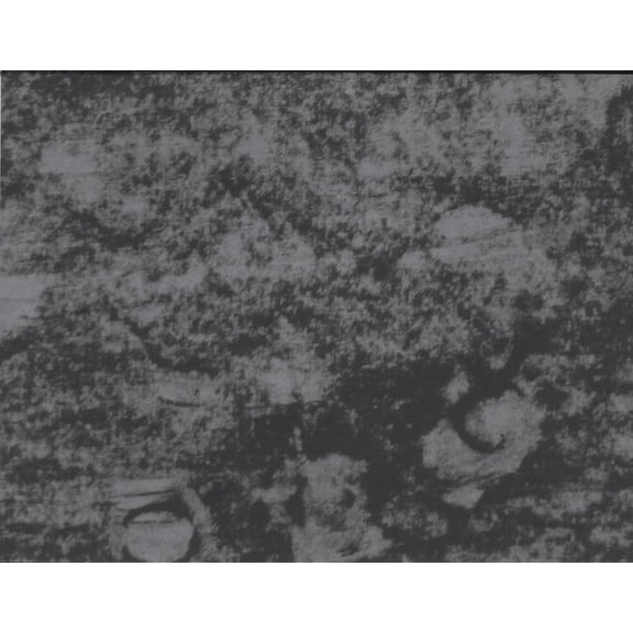 The Possible, (Paperback)