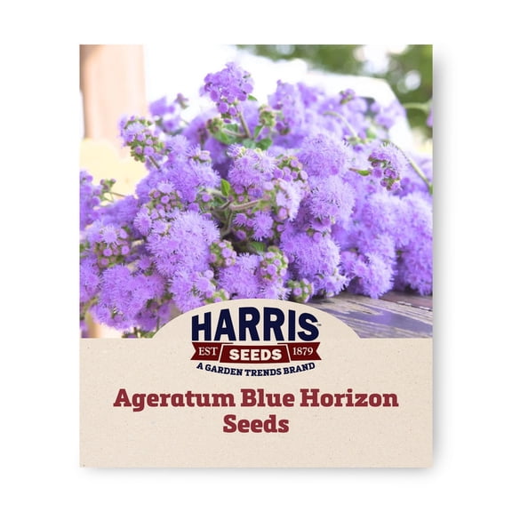 Harris Seeds Ageratum Blue Horizon F1, Tall Blue Flower Variety for Cut Flowers and Garden Beds, 50 Count