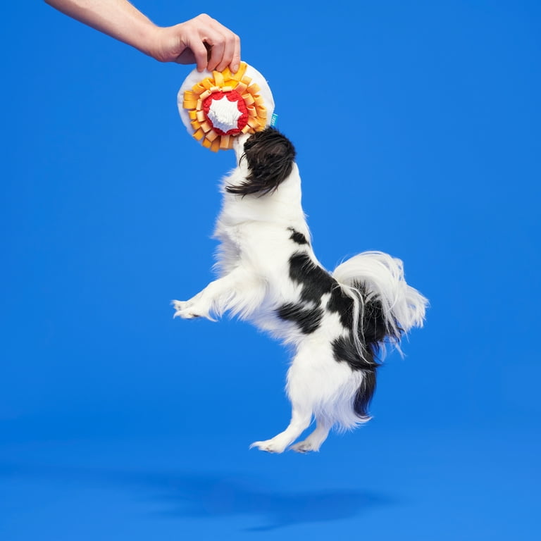 Toy dog that jumps and cheap barks