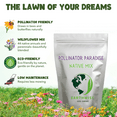 thumbnail image 6 of Earthwise Pollinator Paradise Native Wildflower Seed Mix for Bee and Butterfly Gardens, Drought Tolerant Blend, 1 oz, Covers 150 Sq ft, 6 of 10