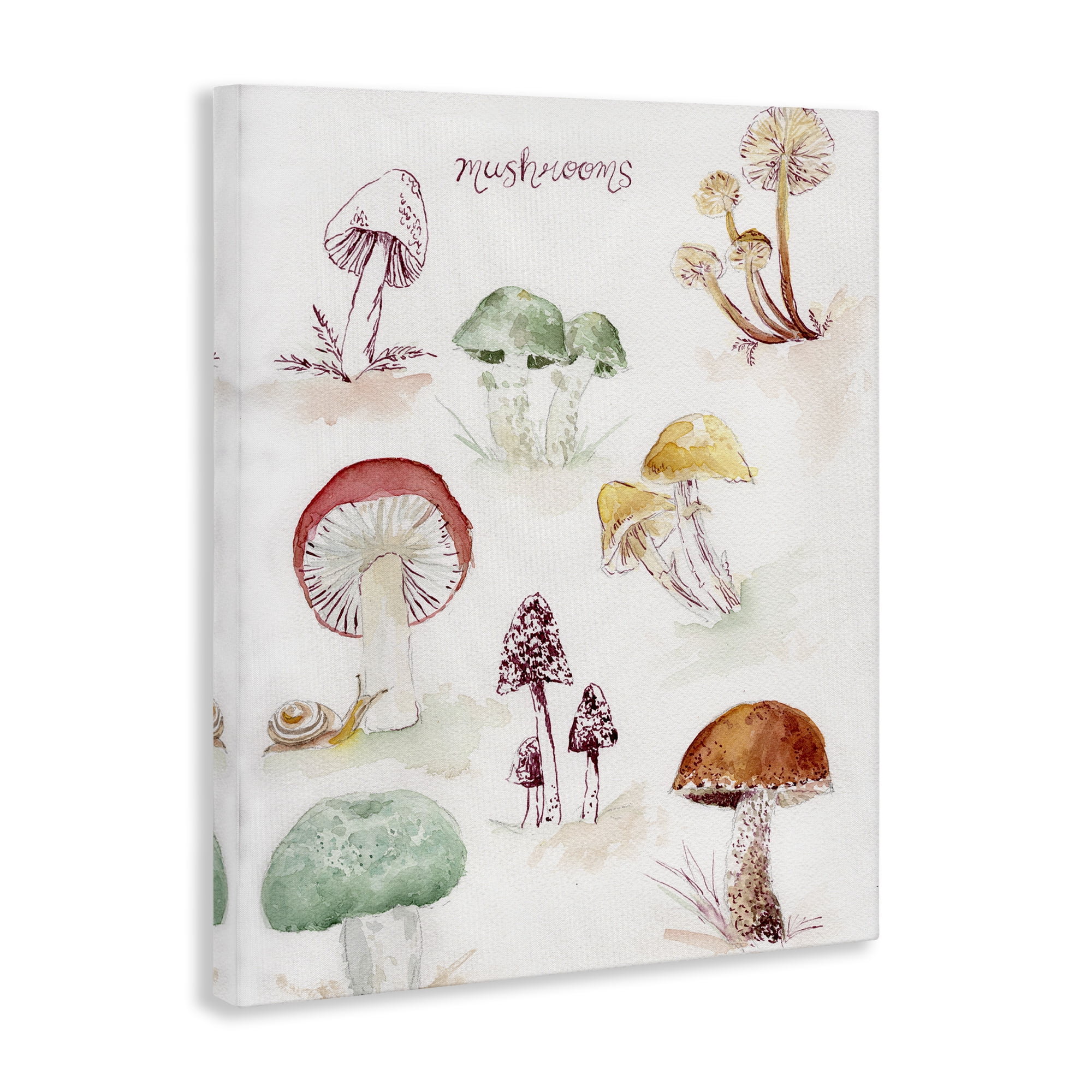 Stupell Industries Types Of Mushrooms Botanical & Floral Painting Gallery Wrapped Canvas Art Print Wall Art, 24 x 30