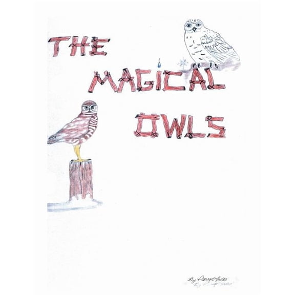 The Magical Owls, (Paperback)