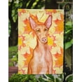 thumbnail image 3 of Carolines Treasures BB9976GF Pharaoh Hound Fall Flag - Garden Size, 3 of 3