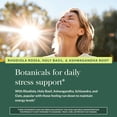 thumbnail image 5 of Gaia Herbs Stress Response Supplements - Supports Relaxation & Healthy Stress Response* - With Rhodiola, Holy Basil, Ashwagandha & More - 30 Vegan Liquid Phyto-Caps (15 Servings), 5 of 9