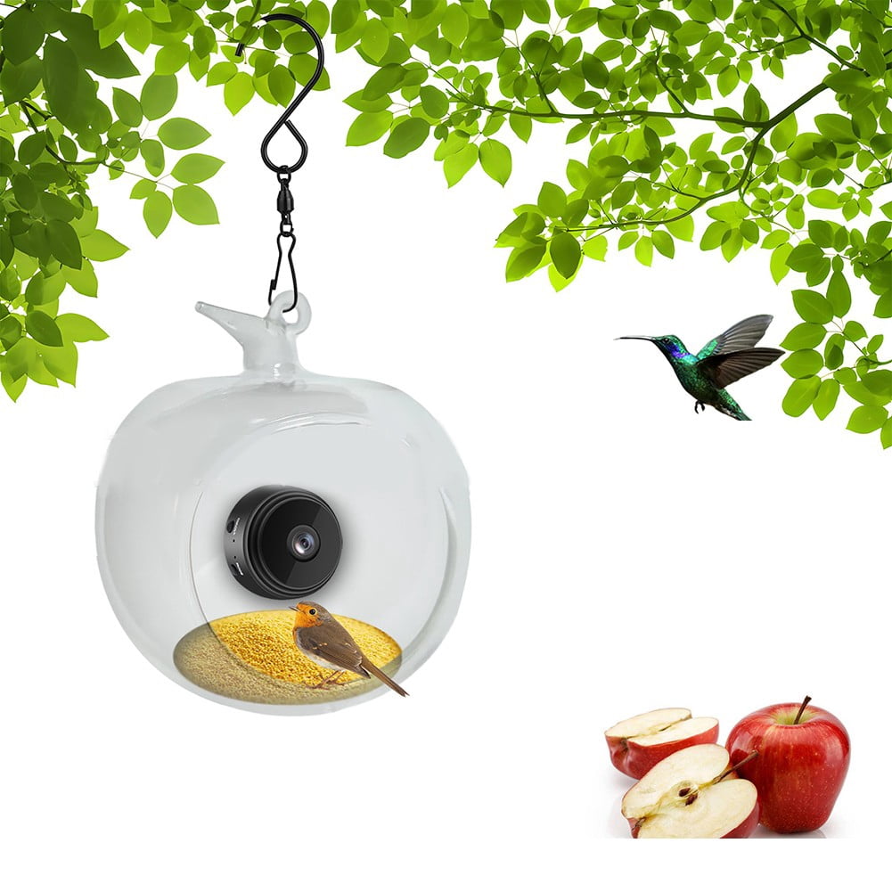yaaqii 1x indoor home Outdoor Garden For Smart Bird Feeder with Video Camera for windowsill