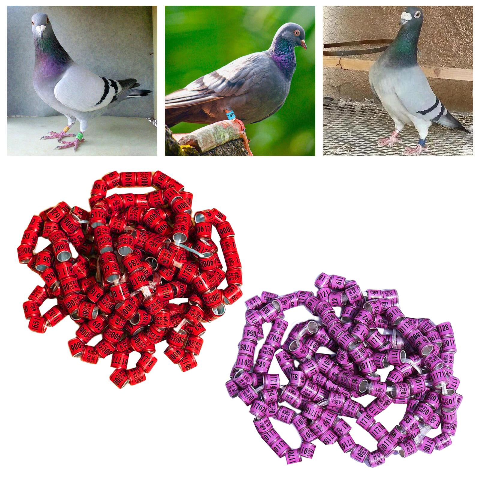 100x Aluminium Pigeons Leg Rings Dove Foot Bands Identification for