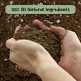 thumbnail image 3 of Lucky Bamboo Plant Potting Mix (4 Quarts), Custom Soil Mix for Repotting, 3 of 9