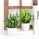 thumbnail image 2 of Plantas artificiales Pequeñas plantas en maceta falsas, 8 piezas Mini planta de hierba decorativa en maceta de eucalipto con maceta blanca para decoración del hogar, interior, oficina, decoración, 2 of 5