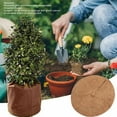 thumbnail image 4 of Flower Pot  Bag Winter UV  Frost Prevention Plant Thermal Cover Bag for Cold Weather, 4 of 7
