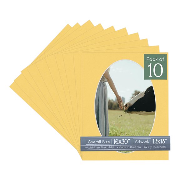 Light Orange Picture Frame Mat for 16x20 Frames - Oval Opening for 12x18 Photos - 10 Mats