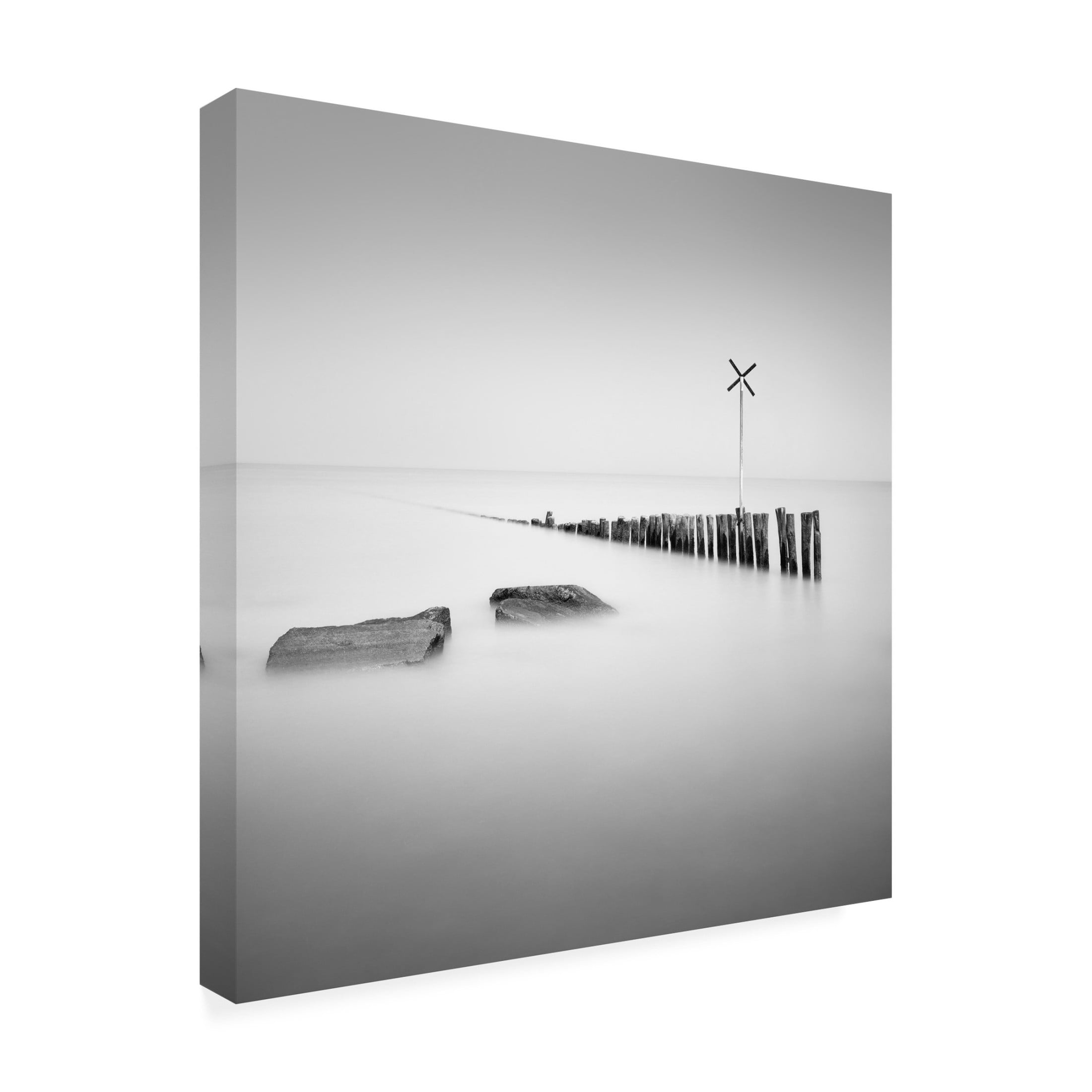 Canvas Wall Art - Christophe Staelens 'X Stands For' Wall Art for Living Room, Bedroom, or Office D?cor by Trademark Fine Art - 35 x 35 Inches