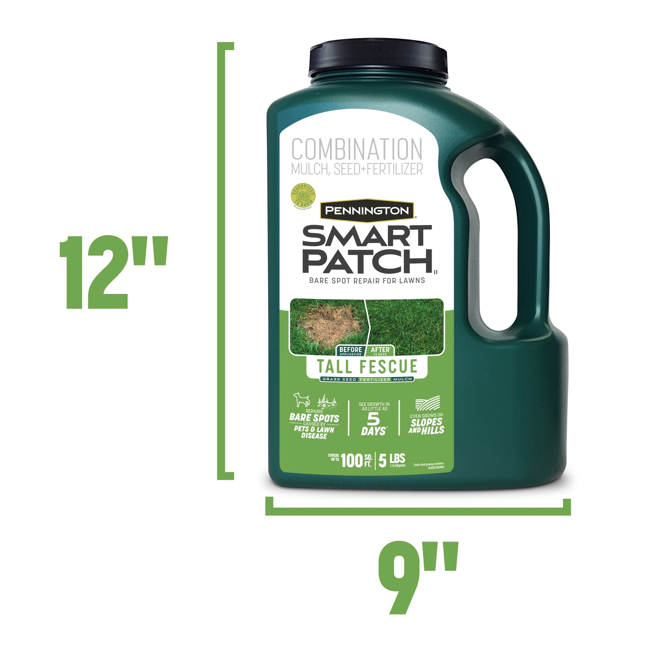 Pennington Smart Patch Tall Fescue Grass Seeds for Lawn, Grass Seed Mix, for Sun to Partial Shade, 5.5 lb.